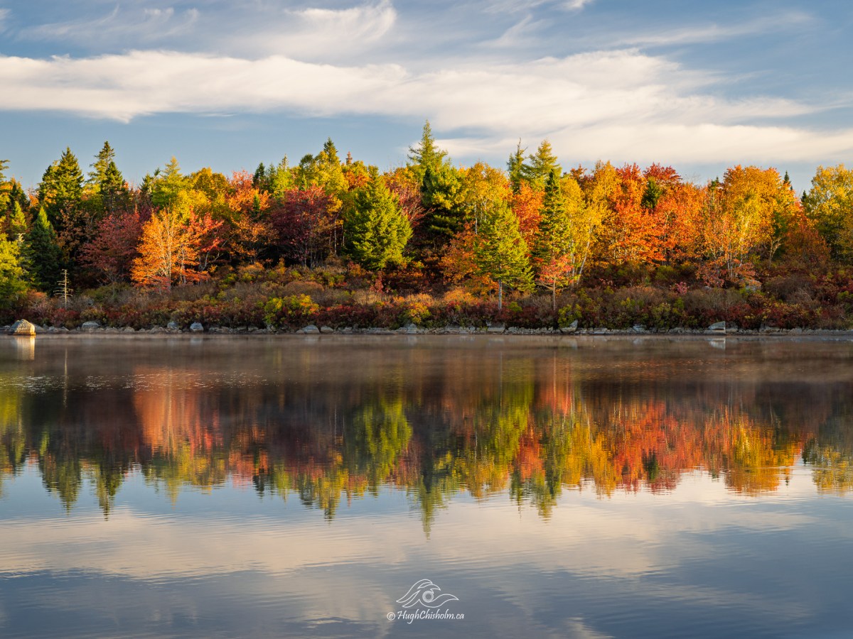 Canada’s Ocean Playground – October&nbsp;2025