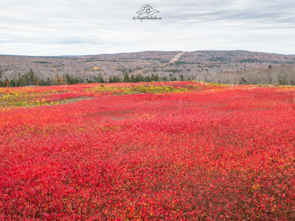 Explore Nova Scotia’s Scenic Beauty Through My&nbsp;Lens
