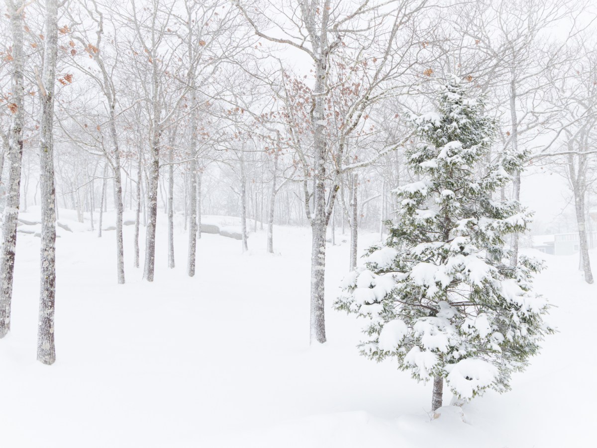 Winter Photography Highlights from Nova&nbsp;Scotia