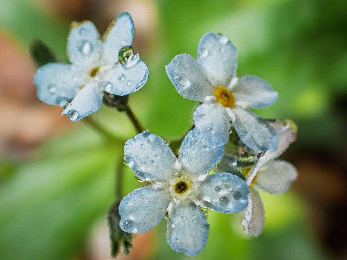 Exploring Nature: My Favourite May&nbsp;Images