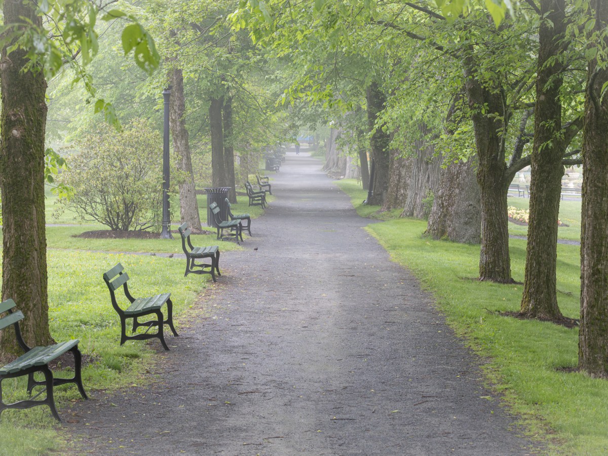 Halifax Public Gardens in the&nbsp;Rain
